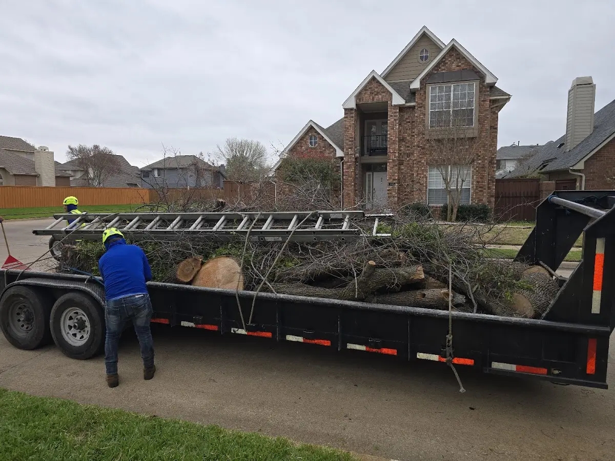 Expert Tree Pest Control with proper safety equipment in Cochranville